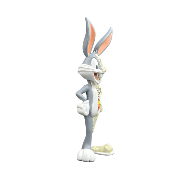 Xxray Plus Looney Tunes Bugs Bunny Anatomy 4 Figure By Jason Freeny 02 | Monkey Paw Mexico