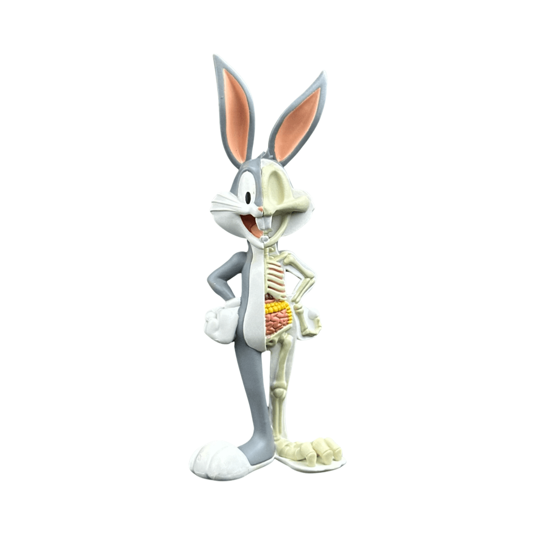 Xxray Plus Looney Tunes Bugs Bunny Anatomy 4 Figure By Jason Freeny 05 | Monkey Paw Mexico