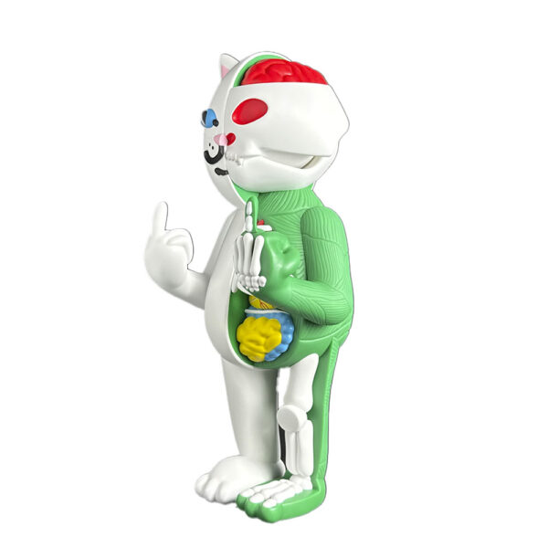 CDMX Anatomy Nermal 14 figure by RIPNDIP (1) | Monkey Paw Mexico
