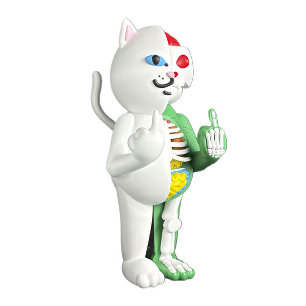CDMX Anatomy Nermal 14 figure by RIPNDIP (2) | Monkey Paw Mexico