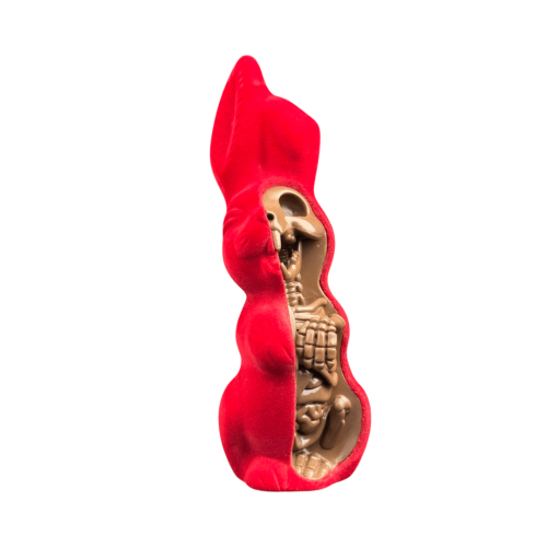 Anatomical Easter Bunny Red Velvet 9 Figure By Jason Freeny (2018) 04 | Monkey Paw Mexico