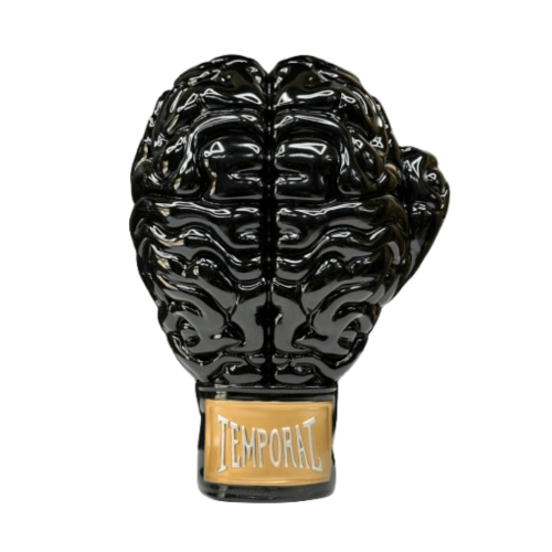 Boxing Brain Black / Gold 10" Figure By Ron English Monkey Paw Mexico