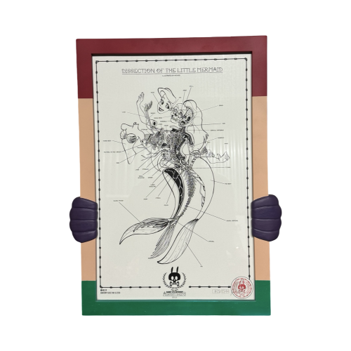 Dissection of the Little Mermaid 47cm x 36cm Frame by Nichos 1 | Monkey Paw Mexico